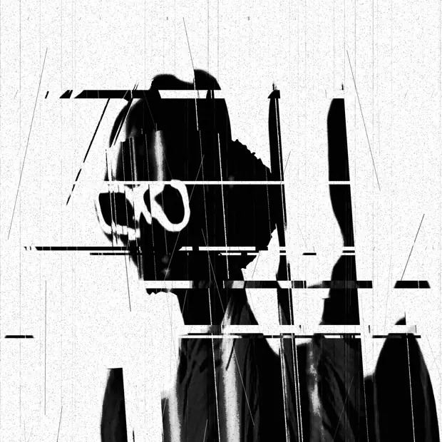 ArNi, xerox